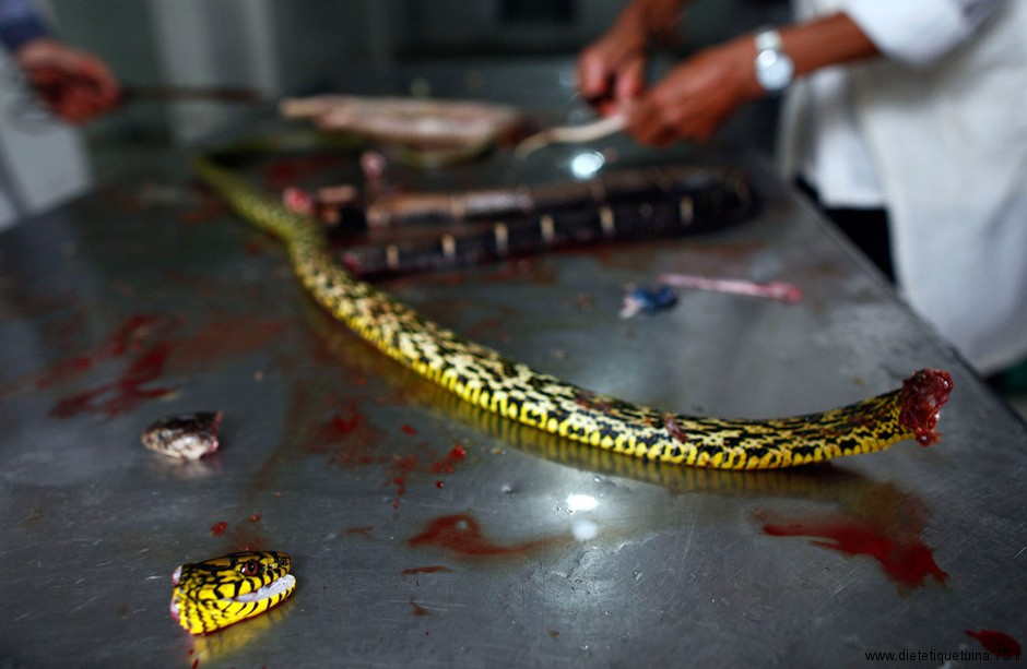 couper la tête du serpent avant de le manger